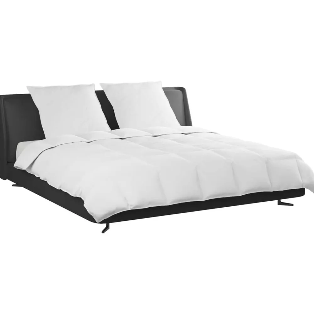 Linge-vidaXL Ensemble de Duvet avec oreiller 3 pcs Blanc Plume de canard