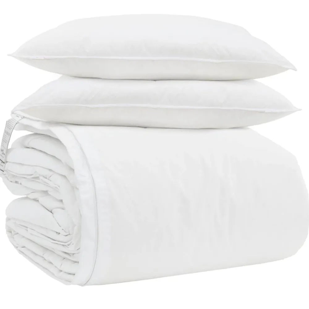 Linge-vidaXL Ensemble de Duvet avec oreiller 3 pcs Blanc Plume de canard