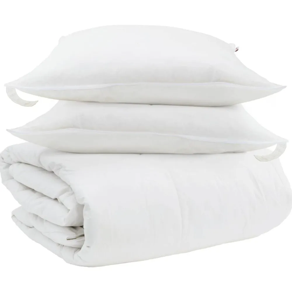 Linge-vidaXL Ensemble de Duvet avec oreiller 3 pcs Blanc Plume de canard