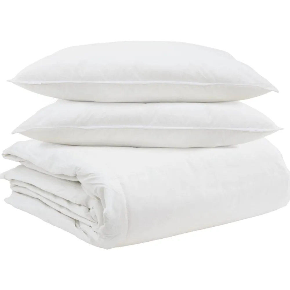 Linge-vidaXL Ensemble de Duvet avec oreiller 3 pcs Blanc Plume de canard