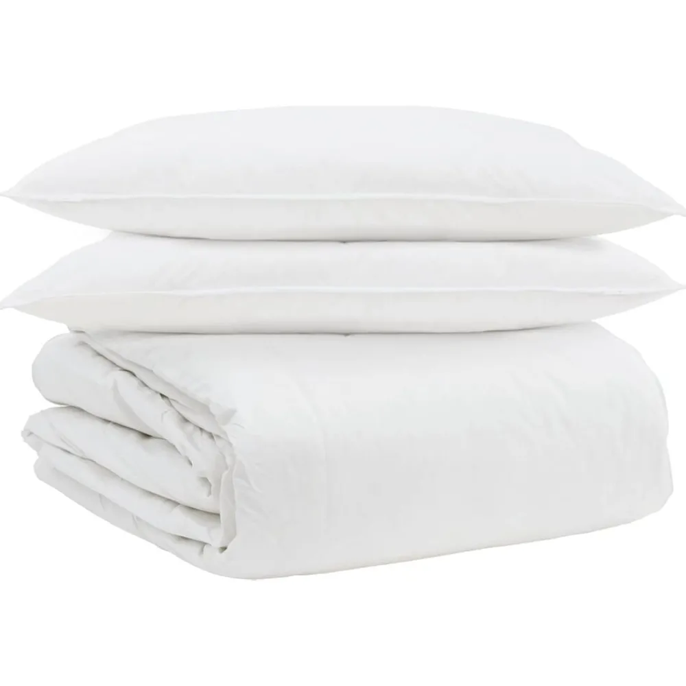 Linge-vidaXL Ensemble de Duvet avec oreiller 3 pcs Blanc Plume de canard