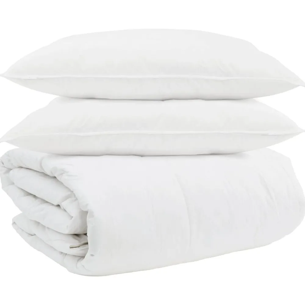 Linge-vidaXL Ensemble de Duvet avec oreiller 3 pcs Blanc Plume de canard