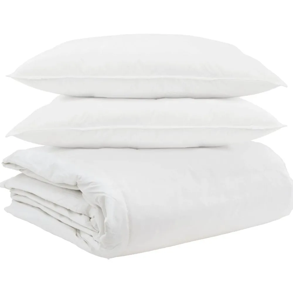Linge-vidaXL Ensemble de Duvet avec oreiller 3 pcs Blanc Plume de canard