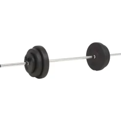 vidaXL Ensemble de haltères 30 kg