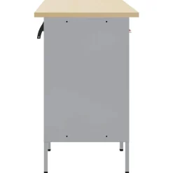 Accessoires De Quincaillerie-vidaXL Ensemble de placards de travail avec tiroir 5 pcs et gris Noir