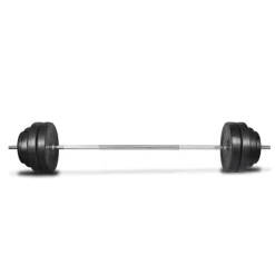vidaXL Ensemble d'haltères avec plaques 60 kg