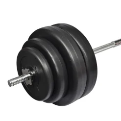 vidaXL Ensemble d'haltères avec plaques 60 kg
