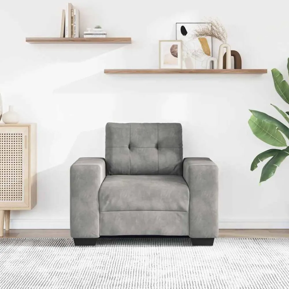 vidaXL Fauteuil 100x78x80 cm Velours
