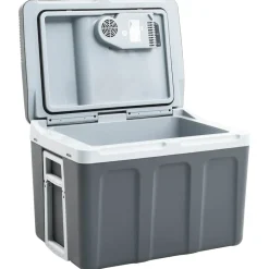 vidaXL Glacière portable thermoélectrique 40 L 12 V 230 V E