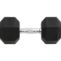 vidaXL Haltère 22,5 kg Fonte