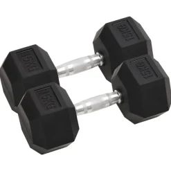vidaXL Haltères 2 pcs 30 kg Total Fonte
