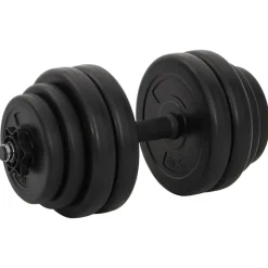 vidaXL Haltères 2 x 15 kg