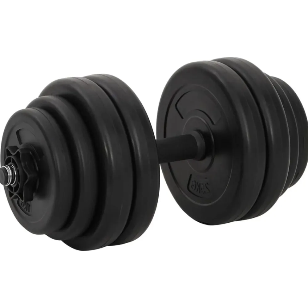 vidaXL Haltères 2 x 15 kg