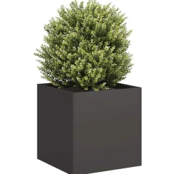 vidaXL Jardinière 40x40x40 cm acier laminé à froid