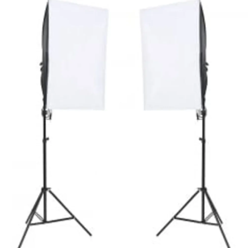 vidaXL Kit de studio photo avec éclairage et toile de fond