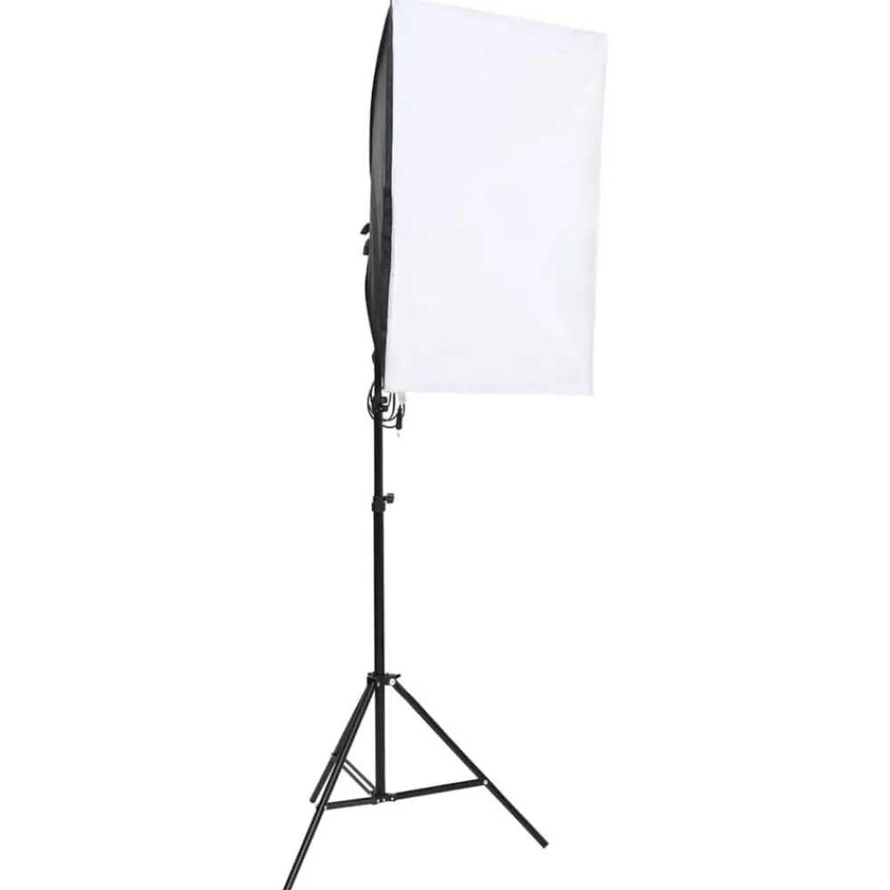 vidaXL Kit de studio photo avec éclairage et toile de fond