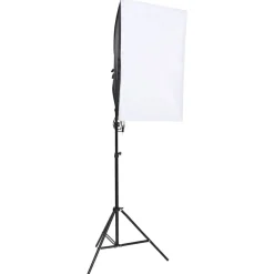 Appareils Photo-vidaXL Kit de studio photo avec éclairage et toile de fond
