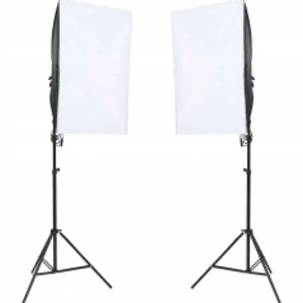 vidaXL Kit de studio photo avec éclairage et toile de fond