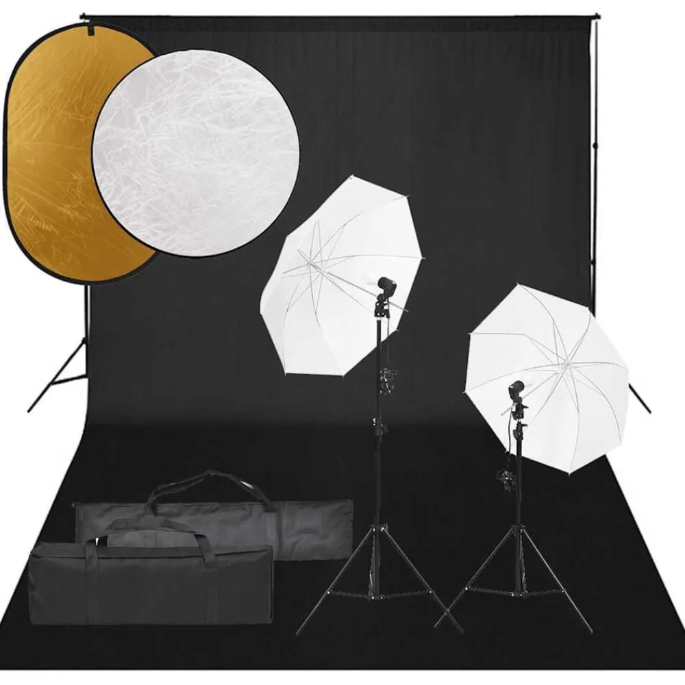 vidaXL Kit de studio photo avec éclairage toile de fond et réflecteur
