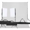 Appareils Photo-vidaXL Kit de studio photo avec éclairage et toile de fond