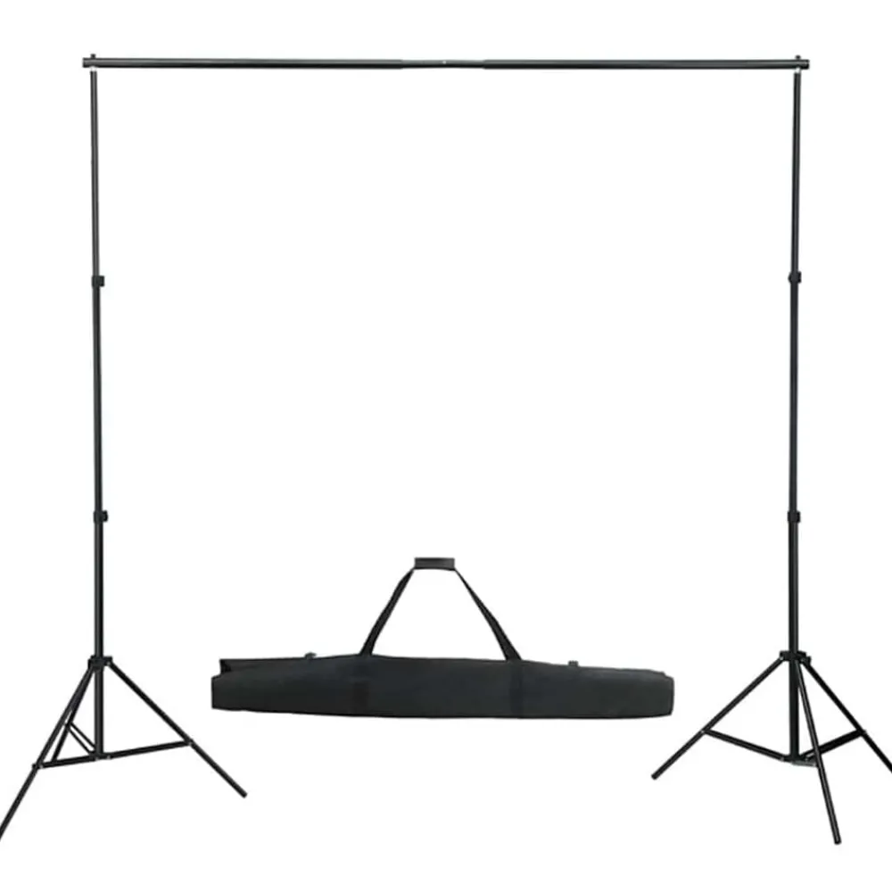 vidaXL Kit de studio photo avec éclairage et toile de fond