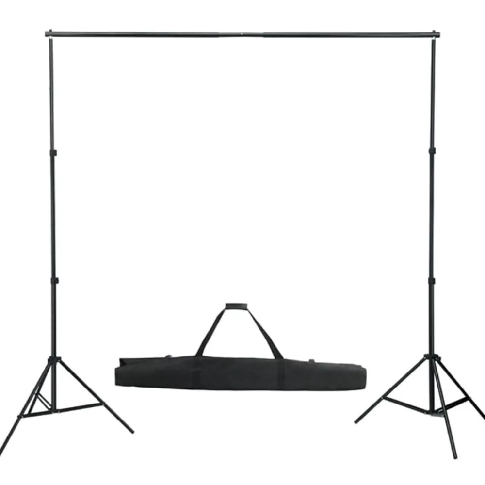 vidaXL Kit de studio photo avec éclairage et toile de fond