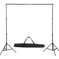 vidaXL Kit de studio photo avec éclairage et toile de fond