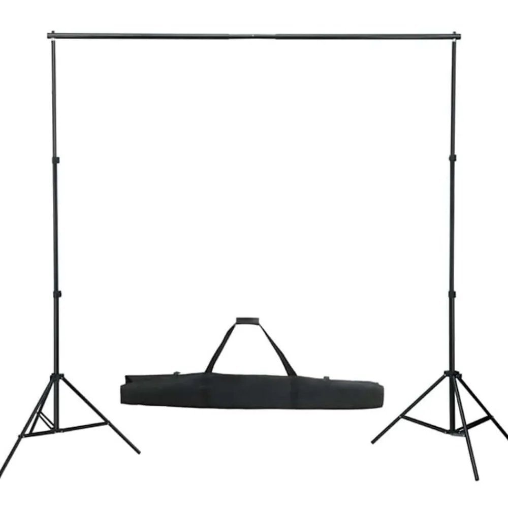 vidaXL Kit de studio photo avec éclairage et toile de fond