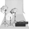 vidaXL Kit de studio photo avec éclairage et toile de fond