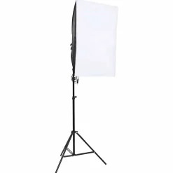 vidaXL Kit de studio photo avec éclairage et toile de fond