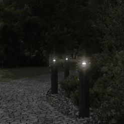 Luminaires-vidaXL Lampadaire d'extérieur avec capteur 60 cm acier inoxydable Noir