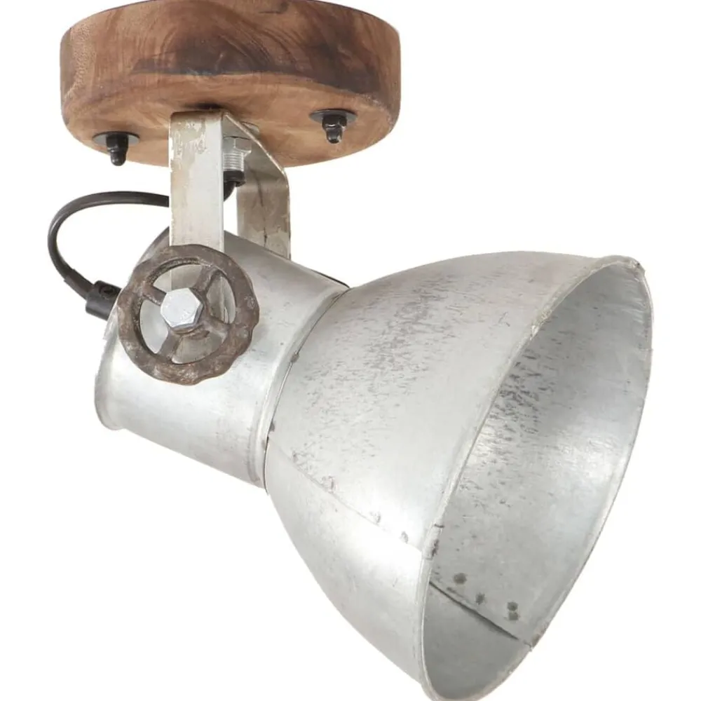 vidaXL Lampe murale industrielle/plafonnier 2 pcs é 20x25 cm E27