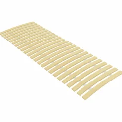 Lits & Accessoires-vidaXL Latte de rechange pour sommier avec 24 lattes 70 x 200 cm