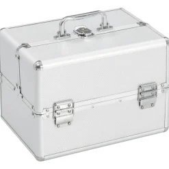 Bagages & Maroquinerie-vidaXL Mallette à maquillage 22x30x21 cm é Aluminium Argent