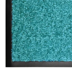 Décorations-vidaXL Paillasson lavable 40x60 cm cyan
