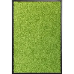 vidaXL Paillasson lavable 40x60 cm
