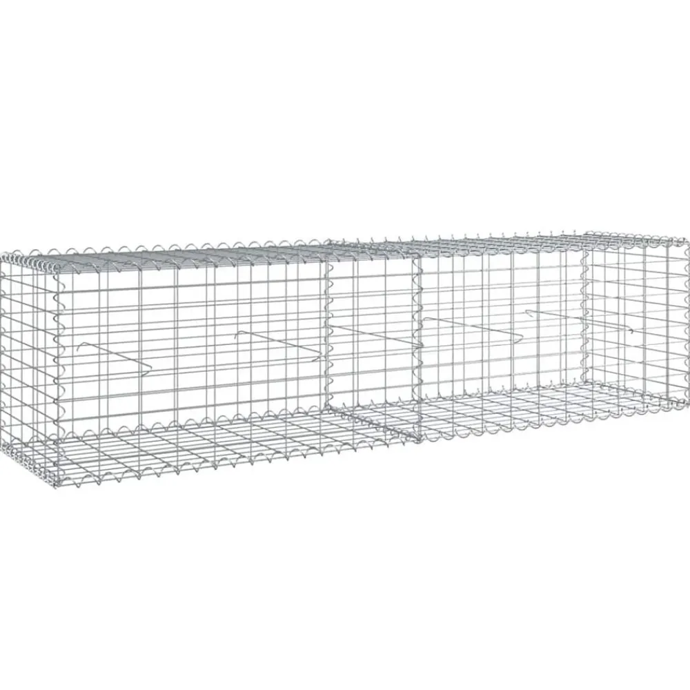 Foresterie & Exploitation Des Forêts|Pelouses & Jardins-vidaXL Panier gabion avec couvercle 200x50x50 cm fer galvanisé