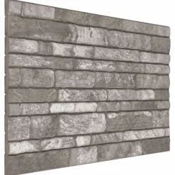 vidaXL Panneaux muraux 10 pcs 100 x 50 cm Mousse EPS