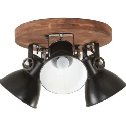Luminaires-vidaXL Plafonnier industriel 25 W 42x27 cm E27 Noir
