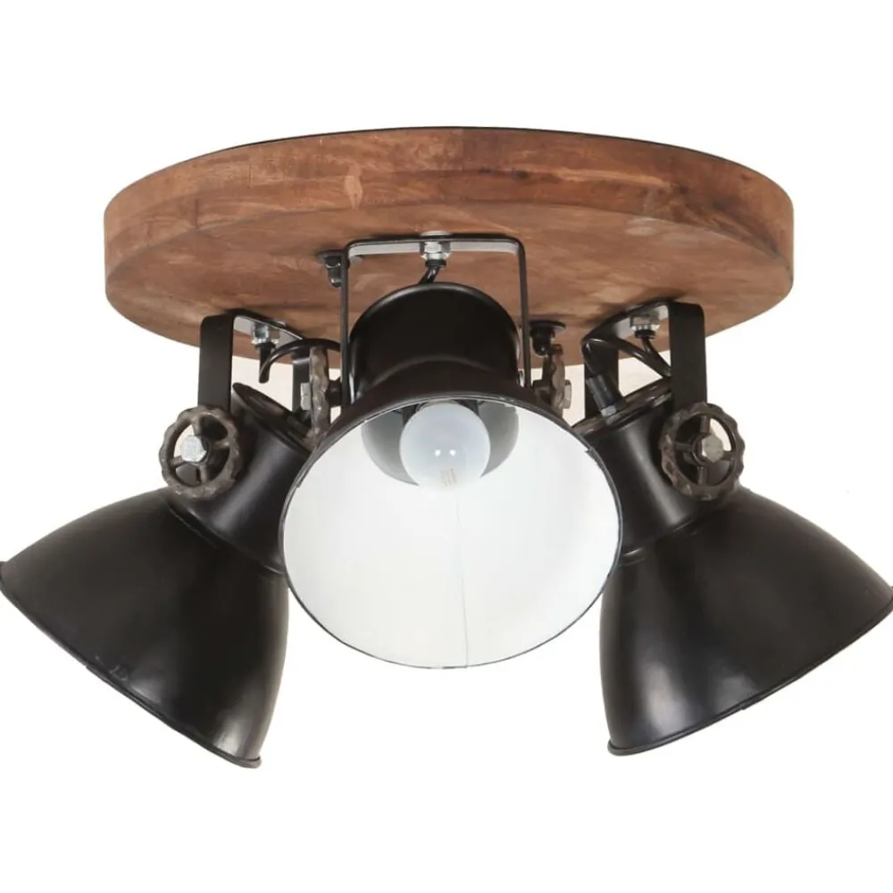 Luminaires-vidaXL Plafonnier industriel 25 W 42x27 cm E27 Noir
