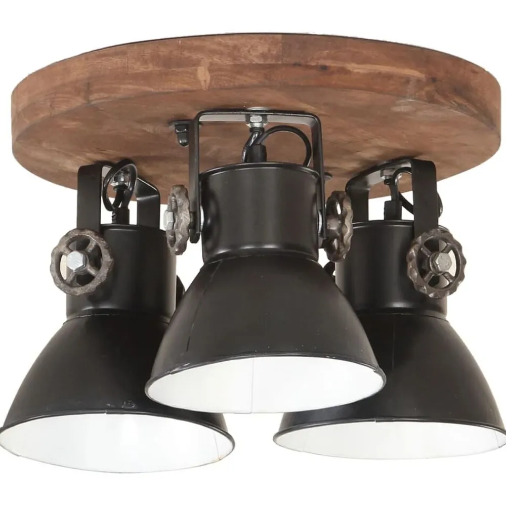 Luminaires-vidaXL Plafonnier industriel 25 W 42x27 cm E27 Noir