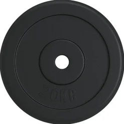 vidaXL Plaque de poids 20 kg Fonte