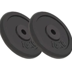 vidaXL Plaque de poids 2 pcs 2x10 kg Fonte
