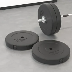 vidaXL Plaques de poids 2 pcs 30 kg Béton