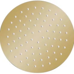 Plomberie-vidaXL Pomme de douche pluie Acier inoxydable 20 cm Ronde Doré