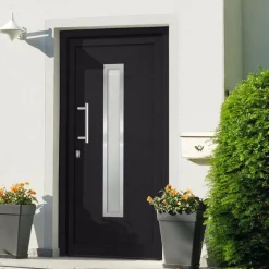 vidaXL Porte d'entrée Anthracite 88x200 cm