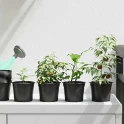 Pelouses & Jardins-vidaXL Pot à fleurs 50 pcs Ø 15 x 12,5 cm Plastique Noir