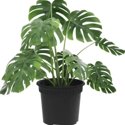 vidaXL Pot à fleurs rond 6 pcs Ø 12,5 x 10 cm Plastique
