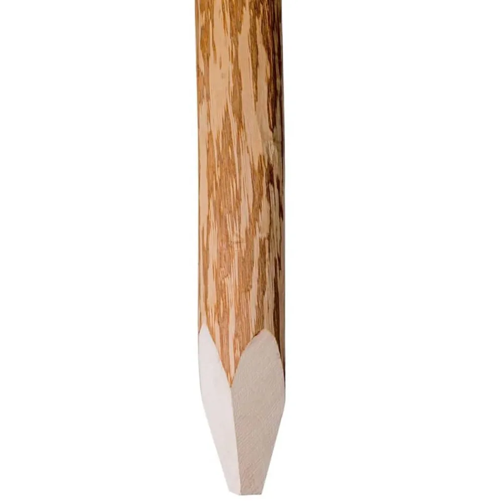 vidaXL Poteaux pointus de clôture 4 pcs Bois de noisetier 90 cm