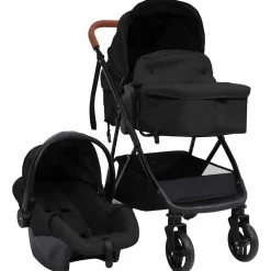 vidaXL Poussette pour bébé 3-en-1 et noir Acier